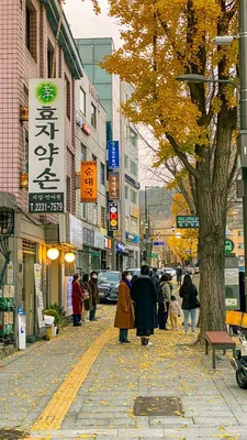 Путешествие в Южную Корею: полезные советы | Ассоциация Туроператоров