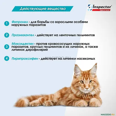 Elanco Адвокат капли для котят и кошек до 4 кг, от клещей и блох — купить  по доступной цене с доставкой