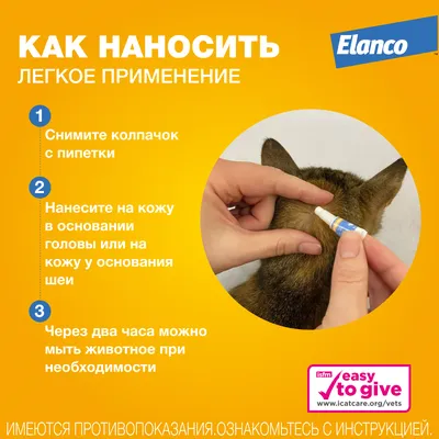 Elanco Мильбемакс таблетки от глистов для котят и молодых кошек (2  таблетки) | Купить в Москве