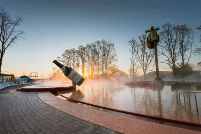 Tour \"Mukachevo Castle, Thermal Waters Kosino and wine\" | Vidviday Tour  Operator