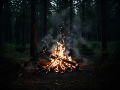 Лес костер ночь - 68 фото