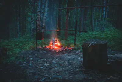 Костер в ночном лесу. ) - YouTube
