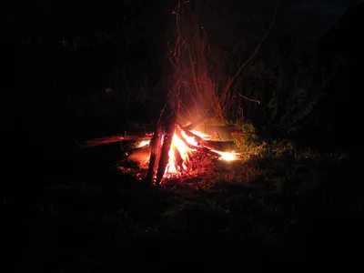 Лес костер ночь - 68 фото