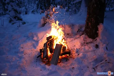 костер зажгли в лесу ночью, костер, зажженный белой березой 3, Hd  фотография фото фон картинки и Фото для бесплатной загрузки