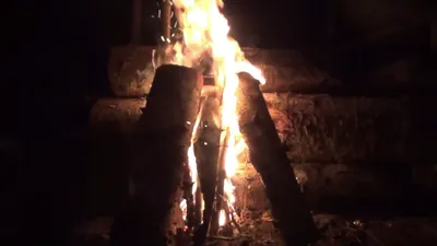 Ночной костер в лесу. Костер горит на природе. Замедленное движение, Stock  Footage Включая: ясень и красиво - Envato Elements