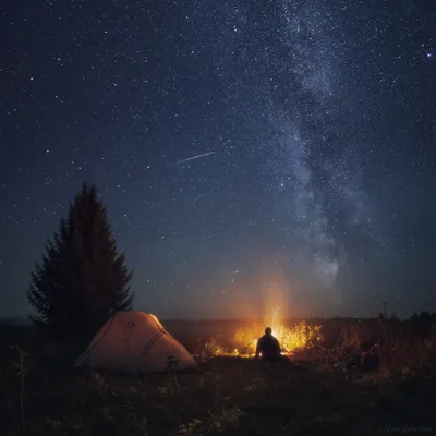 Фензи | Ночной лесной вайб у костра / Природа и тишина в лесу это  определённый вид кайфа | Дзен