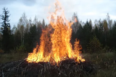 Разведение костров - po-russki.nationalparks.fi