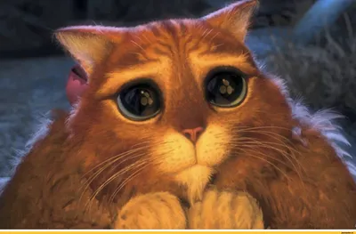Кот из Шрека, большие глаза, няшка…» — создано в Шедевруме