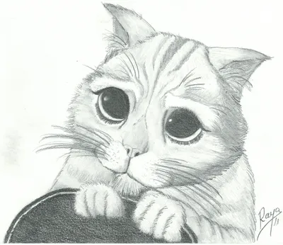 Кот из Шрека рисунок (много фото) - drawpics.ru