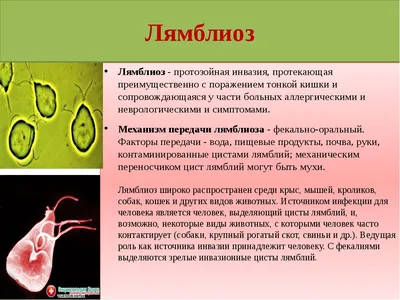 Как узнать, больна ли у вас печень - 7 внешних признаков. — Татьяна  Тарновская на TenChat.ru