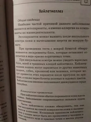 Купить Костюм для восстановления кошек при ранах на животе, кожных  заболеваниях после операции, жилет для домашних животных | Joom