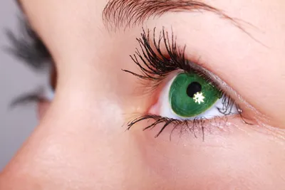 Красивые глаза женщины и студия носа на белой предпосылке Стоковое  Изображение - изображение насчитывающей очарование, способ: 62542851