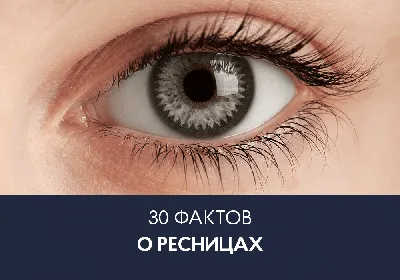 Как сделать ресницы густыми и длинными: 9 советов и 4 средства