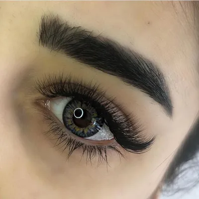 MODERN LASHES STUDIO on Instagram: “ЯРКИЕ...пушистые...МЕГА красивые и  ЛЮБИМЫЕ реснички в изгибе “L”❤️ Плавный... мягкий л… | Ресницы, Ресницы  советы, Макияж ресниц