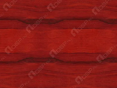 Картина на стекле Красное дерево 30х30 см купить недорого в  интернет-магазине товаров для декора Бауцентр