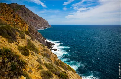 Море🌴 Красивый вид на пляж, 4к, …» — создано в Шедевруме