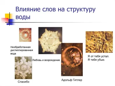 Вода Кристалл питьевая газированная 1,5л пластиковая бутылка — купить с  доставкой на дом в интернет-магазине Солнечный