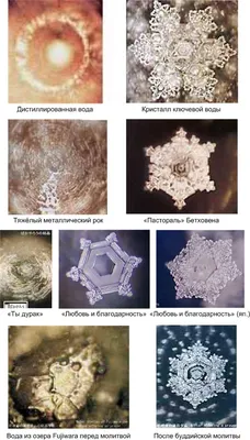 Фотокнига \"Тайна ледяных кристаллов. От Арктики до Антарктики\"