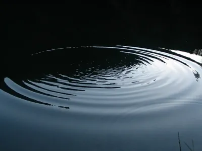 Фото круги на воде фото