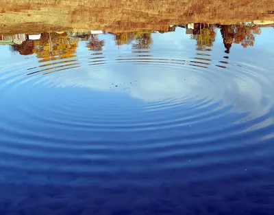 Круги на воде — Фото №314642