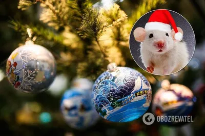 Год Белой Крысы: что нельзя дарить на Новый год 2020-й - | Диалог.UA