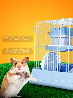 Белая лабораторная крыса смотрит из клетки (выборочный фокус на глазах крысы)  | Премиум Фото