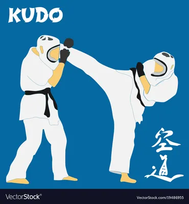 Kudo martial arts fighters Royalty Free Vector Image