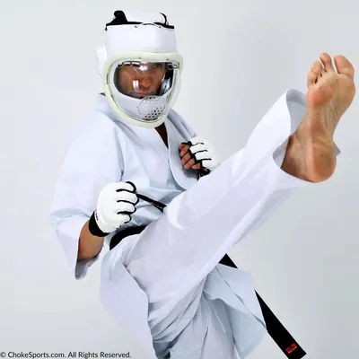 Karate Daidojuku Kudo Stock Photo, Picture and Royalty Free Image. Image  5814722.