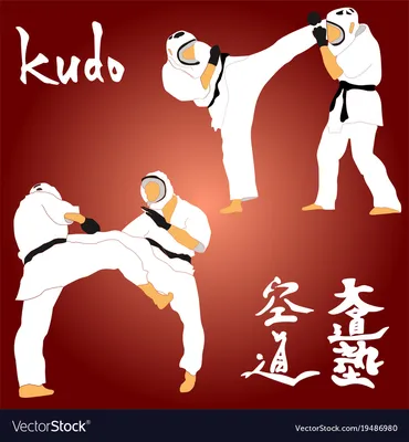 Kudo martial arts fighters Royalty Free Vector Image