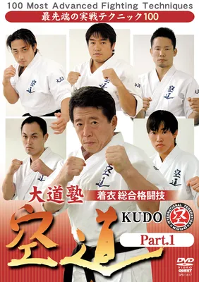 Kudo Martial Arts Fighters Illustration Stock Vector - Illustration of  skill, health: 107652692