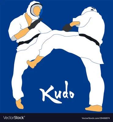 Kudo Martial Art - A Complete Guide