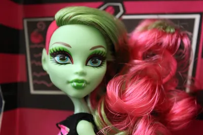 Кукла Монстер Хай Monster High Венера базовая: 1 000 грн. - Куклы и пупсы  Запорожье на Olx