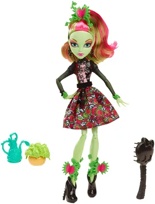 Кукла Монстер Хай Венера МакФлайтрап базовая с питомцем Monster High Venus  McFlytrap Вasic – фото, отзывы, характеристики в интернет-магазине ROZETKA  от продавца: Eraopt | Купить в Украине: Киеве, Харькове, Днепре, Одессе,  Запорожье,