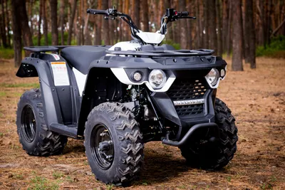 Квадроцикл ATV Мини Барс 800 RC Флэш - цена 31 500 руб, купить  электроквадроциклы в Москве в интернет-магазине