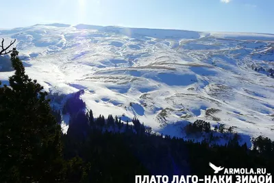 Плато Лаго-Наки. Отдых с бассейном | Термальные бассейны Псыгупс – Горячие  источники Адыгеи