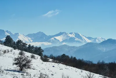 Зима - совсем рядом ❄️ на плато Лагонаки 😍 📍 КПП Кавказского заповедника  📷: Ирина Кахая | Instagram