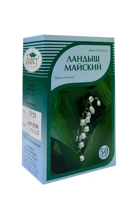 Convallaria majalis L. - Ландыш майский - Полярно-альпийский ботанический  сад-институт им. Н.А. Аврорина