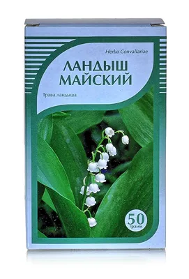 Ландыш майский Розеа, купить саженцы Ландыша майского Розеа в Москве в  питомнике недорого!