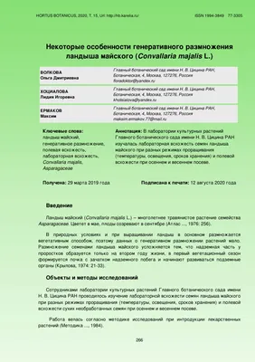 Листья ландыша майского в букетах купить в интернет-магазине Ярмарка  Мастеров по цене 250 ₽ – TBBLYRU | Растения, Липин Бор - доставка по России