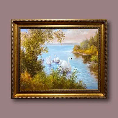 Лебеди озера Светлое — Фото №332673