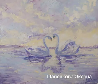 Картинки лебеди, озеро - обои 1920x1080, картинка №400795