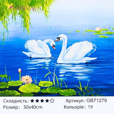 Лебеди на озере :: Маргарита Батырева – Социальная сеть ФотоКто
