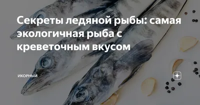 Ледяная рыба в панировке из паприки и лимонной цедры рецепт – Русская  кухня: Основные блюда. «Еда»