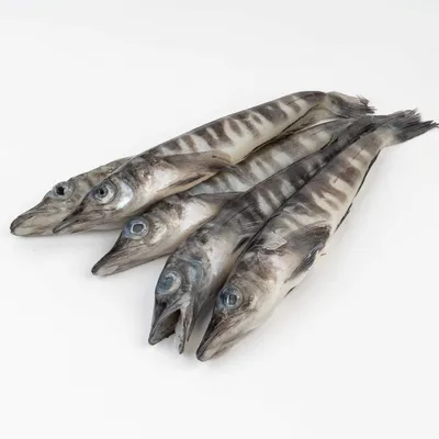 Секреты ледяной рыбы: самая экологичная рыба с креветочным вкусом | Икорный  | Дзен