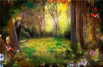 Сказочный лес. Фотоманипуляция. Фотошоп. | Лес, Фотограф