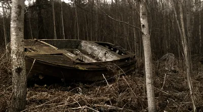 Сказочный и нереальный лес во Франции. Если бы это были не мои фотографии,  я бы сказал, что это Фотошоп... | RЯБИНИН | Дзен