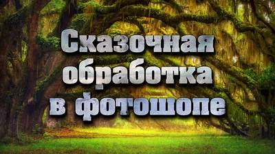 Пугающий лес (54 фото) | Прикол.ру - приколы, картинки, фотки и розыгрыши!