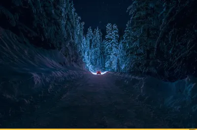 Фото Дорога в зимнем лесу, by itseriksen