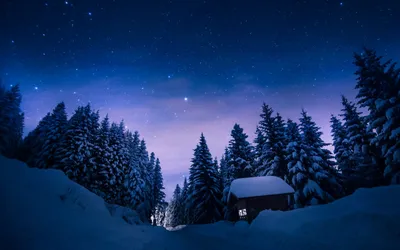 Ночь,зима ,березы,лес, цыфровое …» — создано в Шедевруме