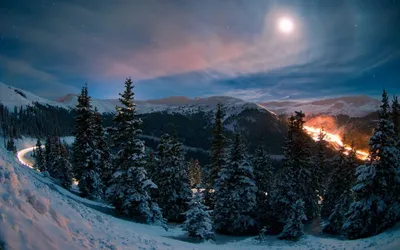 Ночь зимой (45 фото) - 45 фото